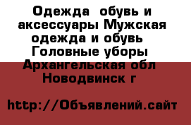 Одежда, обувь и аксессуары Мужская одежда и обувь - Головные уборы. Архангельская обл.,Новодвинск г.